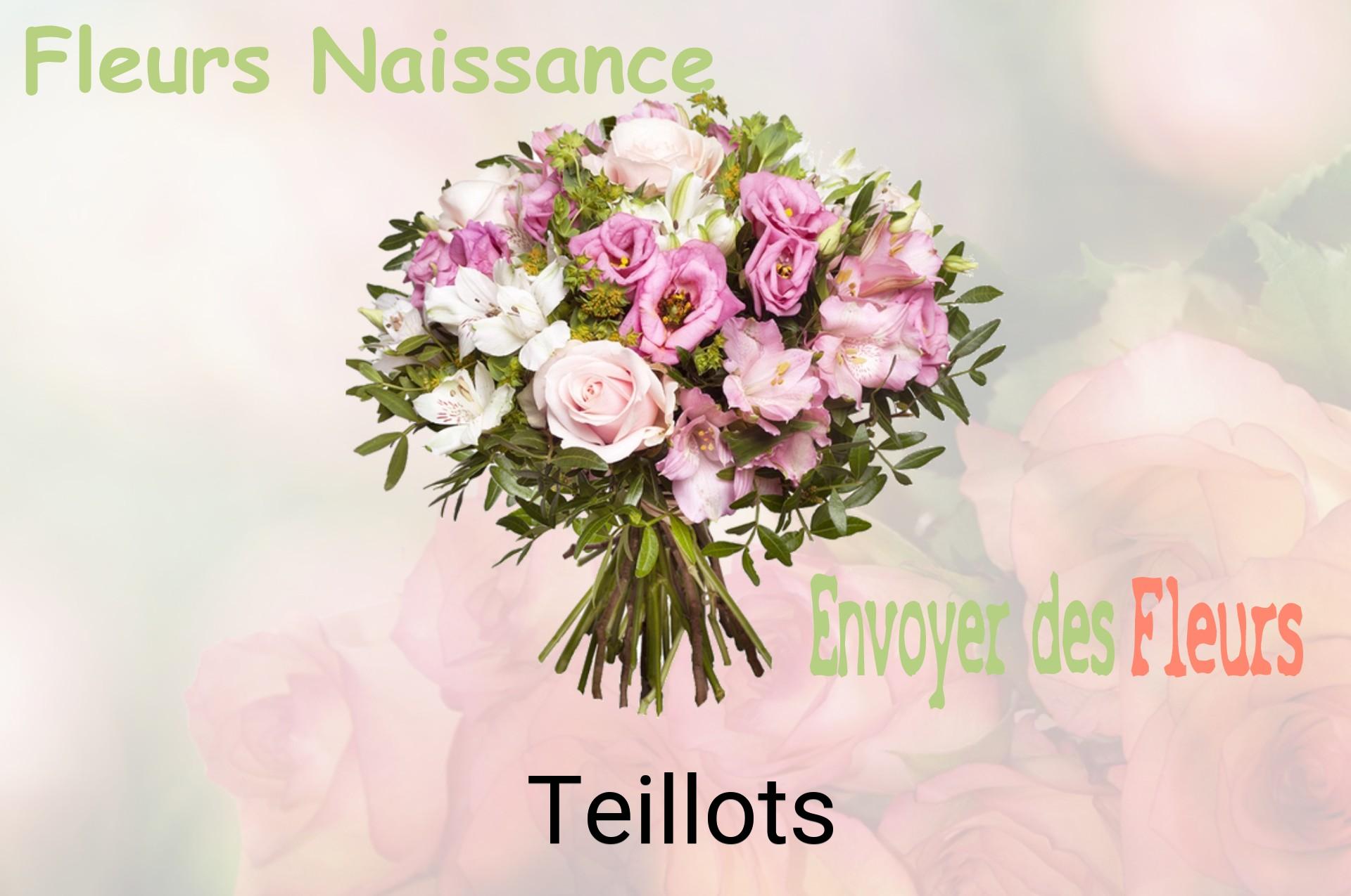 Bouquet de fleurs de naissance livré à Teillots